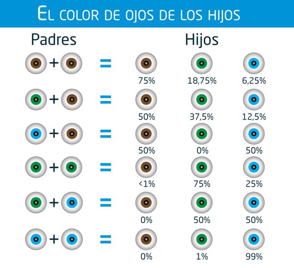 El color de los ojos